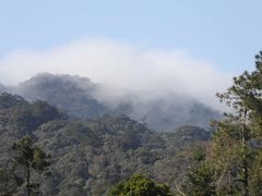 -海南热带雨林国家公园吊罗山景区