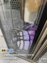 -小木马儿童摄影