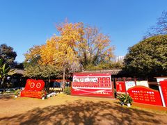 -南京市民俗博物馆(甘熙宅第)