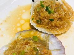 扇贝-龙梅肥肠鱼(明瓦廊店)