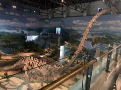-自贡恐龙博物馆