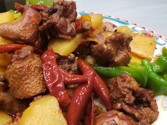 -巴依老爷新疆美食(望京小街店)