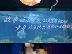 -重庆欢乐海底世界