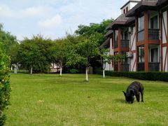 -太阳岛度假酒店