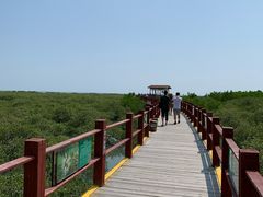 -北海金海湾红树林生态旅游区