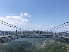 -梦幻奥陶纪景区