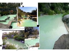 -吴淞炮台湾湿地森林公园烧烤区