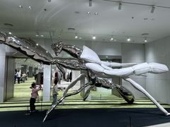 -深圳湾万象城(南山店)