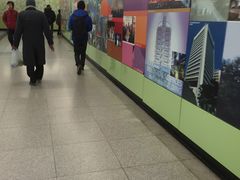 -香港大学