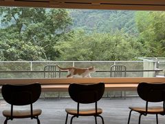 -原乡芦茨咖啡