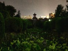 -四川大学(华西校区)