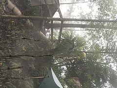 -花水湾第一村温泉大酒店