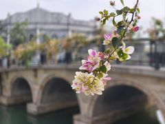 -赤坎·广东华侨国际旅游度假区
