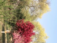 -东升八家郊野公园