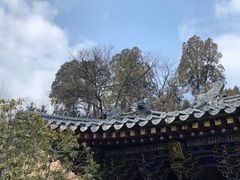 -兴教寺