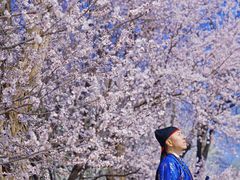 -圆明园遗址公园-藻园门售票处