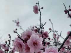 -白塘生态植物园