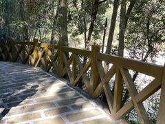 -广州市流溪河国家森林公园