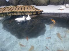 -海合安青岛极地海洋公园
