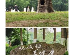 -重庆彩云湖湿地公园