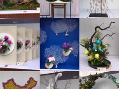 -重庆市江北嘴中央商务区中央公园