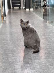 -飛凡TATTOO纹身•原创