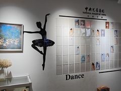 -中央芭蕾舞团·中芭艺蕾(酒仙桥明星校区)