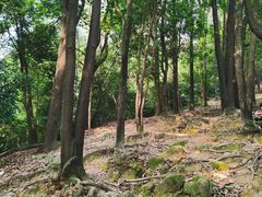 -火炉山森林公园