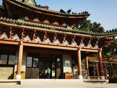 -顺峰山公园