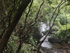 -梧桐山风景名胜区