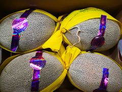 -西郊国际农产品交易中心