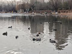 -前关湿地公园