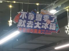 -世界之窗阿尔卑斯冰雪世界