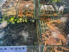 -大灶头·新昌菜(中国茶市店)