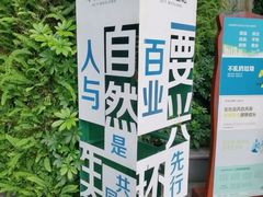 -华侨城湿地公园