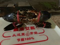 -海盗餐厅