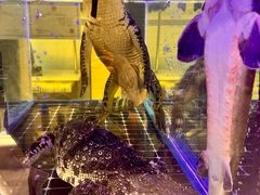 -川骄海鲜自助(河东店)