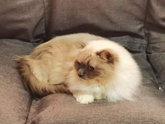 -零纪元VR体验馆·桌游(黄浦店)