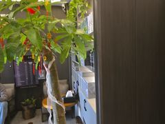 -鹿栖.精油SPA(金山世纪城店)