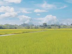 -良渚古城遗址公园