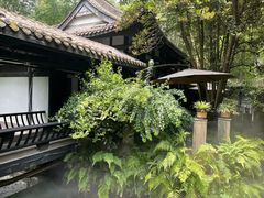 -王家渡火锅(三苏祠店)