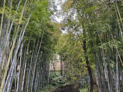 -广东温泉宾馆
