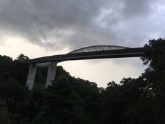 -亨德森波浪桥