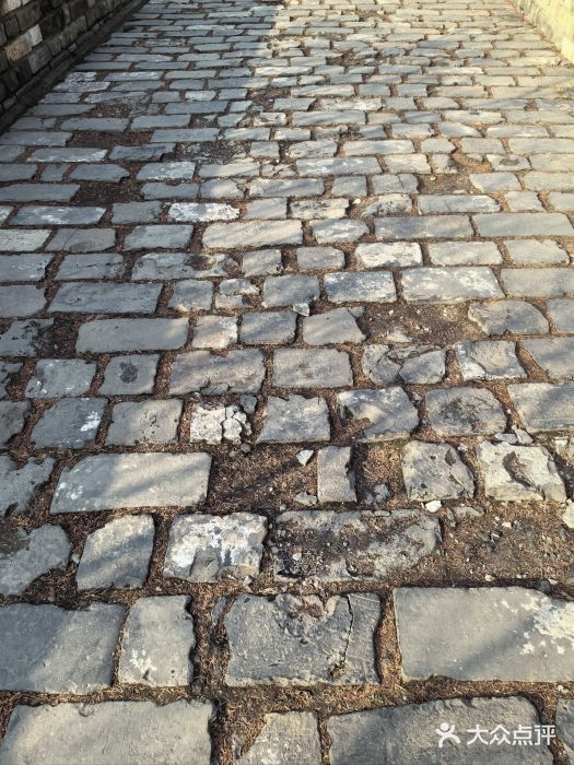 南京城墙景区图片