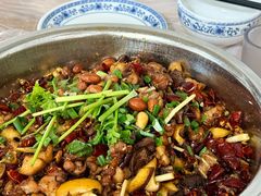 -食神又名厕所兔