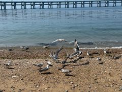 -金沙滩度假村
