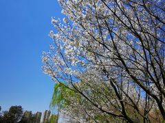 -白塘生态植物园