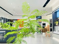 -苏宁广场·城市奥特莱斯(天府立交店)