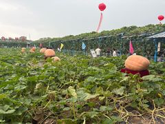 -长春农业博览园