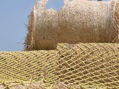 -北京鹿世界主题园